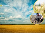 Аграрии на Херсонщине бьют тревогу