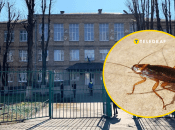 Таргани у навчальному закладі столиці