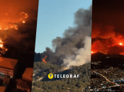 У Туреччині розгорілися масштабні пожежі