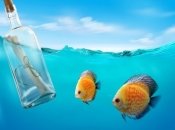 Послание в будущее своему ребенку: 4 идеи круче, чем у Цукерберга