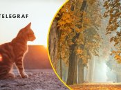 Посеред осені очікується потепління