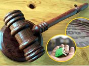 Що відомо із декларації судді Михайлик Аліни