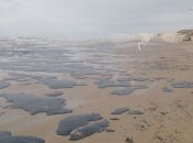 Ще взимку пляжі в Анапі виглядали так