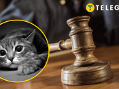 Тварині було понад 18 років