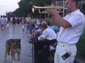 Трубач на набережной Ялты