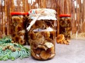 Як приготувати смачні мариновані гриби - рецепт заготівлі на зиму