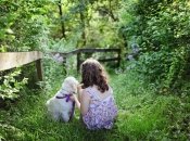 Погода влітку в Україні