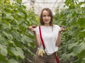 Хороший день для посадки огірків стане запорукою гарного врожаю