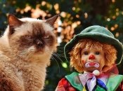 Фото: pixabay.com