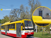 Голубь придумал более простой способ передвижения, чем летать