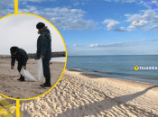 Азовское море становится меньше