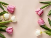 Незвичайний психологічний тест з картинки