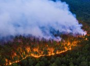 "Зомбі-пожежі" знищують Сибір та Канаду: вчені розповіли, хто в цьому винен