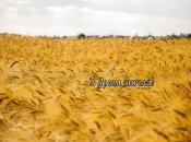 Разобрались, кого поздравляем с Днем ангела 16 августа