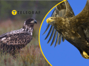 Ілюстративне фото