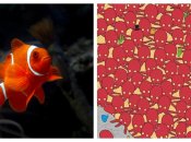 Рибка не впадає відразу в очі