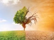 Світ зміниться до невпізнання: людству до 2100 доведеться перемальовувати карти