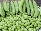 Закрываем зеленый горошек на зиму