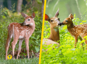 Иллюстративное фото