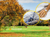 Жук може вкласти на лікарняне ліжко