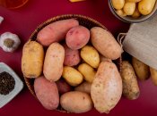 Лучшие сорта в Украине