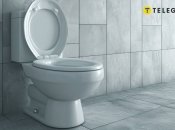 Крышка унитаза является важным гигиеническим средством (изображение создано с помощью ИИ)