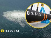 "Подозреваемый - Владимир З.": Германия выдала ордер на арест украинца по делу о подрывах "Северных потоков"