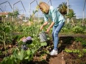 Работы на участке