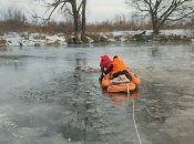 Птицу спасли