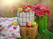 Когда отмечают Яблочный Спас в 2022 году - дата