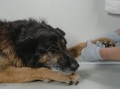 За словами лікарів, поранення могло бути набагато гіршим