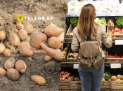 Что будет со стоимостью популярного продукта