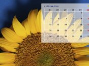 Календар свят та вихідних на серпень 2024 року