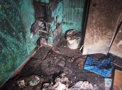 Причиной гибели детей могла стать открытая дверца печи, которая обогревала эту комнату