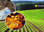 Дело о хищении земель НААН