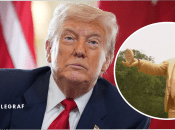 Золотую статую Трампа с биткоином установили у здания Капитолия США