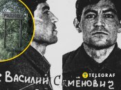 Родное село Василия Стуса