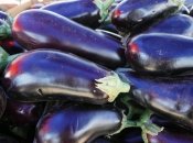 Подойдет подкормка монофосфат калия и не только