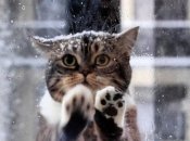 Дождь, снег и мороз: какой будет погода на выходных в Украине