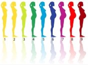 Таблица соответствия недель и месяцев беременности