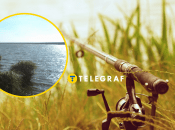 Рыбалка на ставке платная