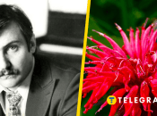 Владимир Ивасюк