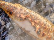 Запеченная скумбрия на мангале