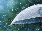 Парасолька стане невіддільним атрибутом початку осені