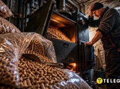 Пеллеты вместо газа: что уничтожает экономию – Переход на твердое топливо в старом доме и скрытые расходы