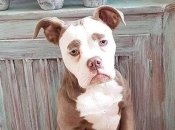 Какие знаки Зодиака загрустят в середине августа 2022 года