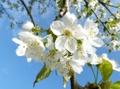 Прогноз погоды на апрель в Украине