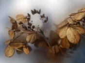 Погода на листопад-грудень 2022