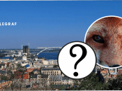 В Киеве заметили опасного хищника