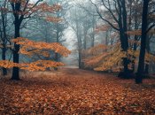 Народні назви листопада